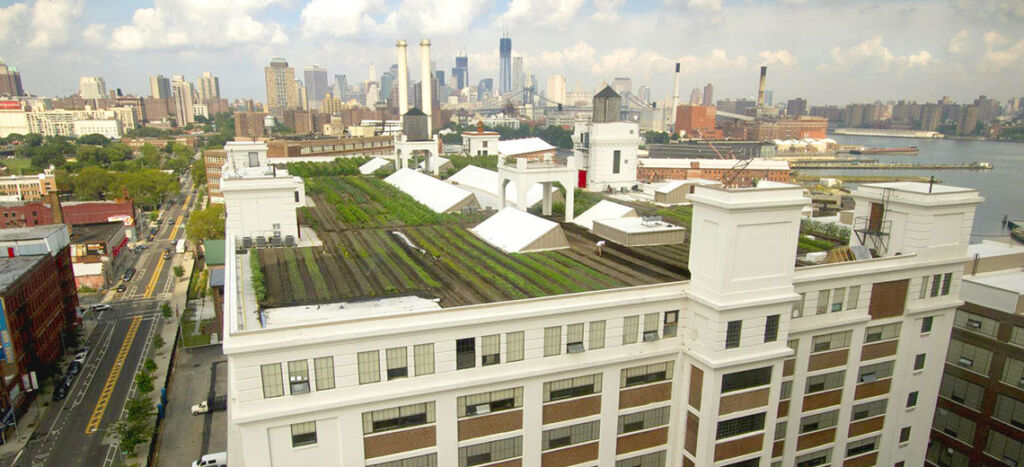 The largest rooftop urban farm in New York City is the Brooklyn Grange seen here