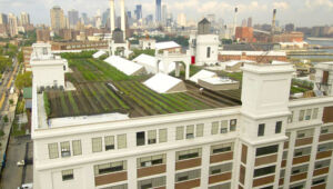 Urban Farming: Using Technology to Revolutionize Agriculture
