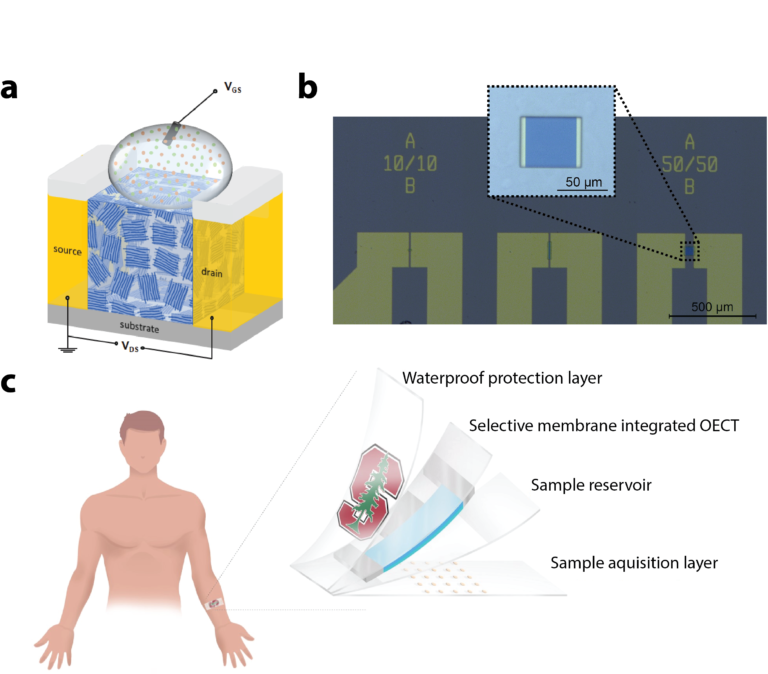 Organic transistor for wearable biosensors