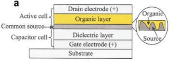 One structure that can be used for organic transistors