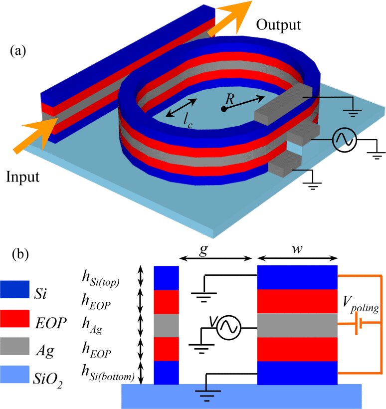 Schematic representation of racetrack microresonators