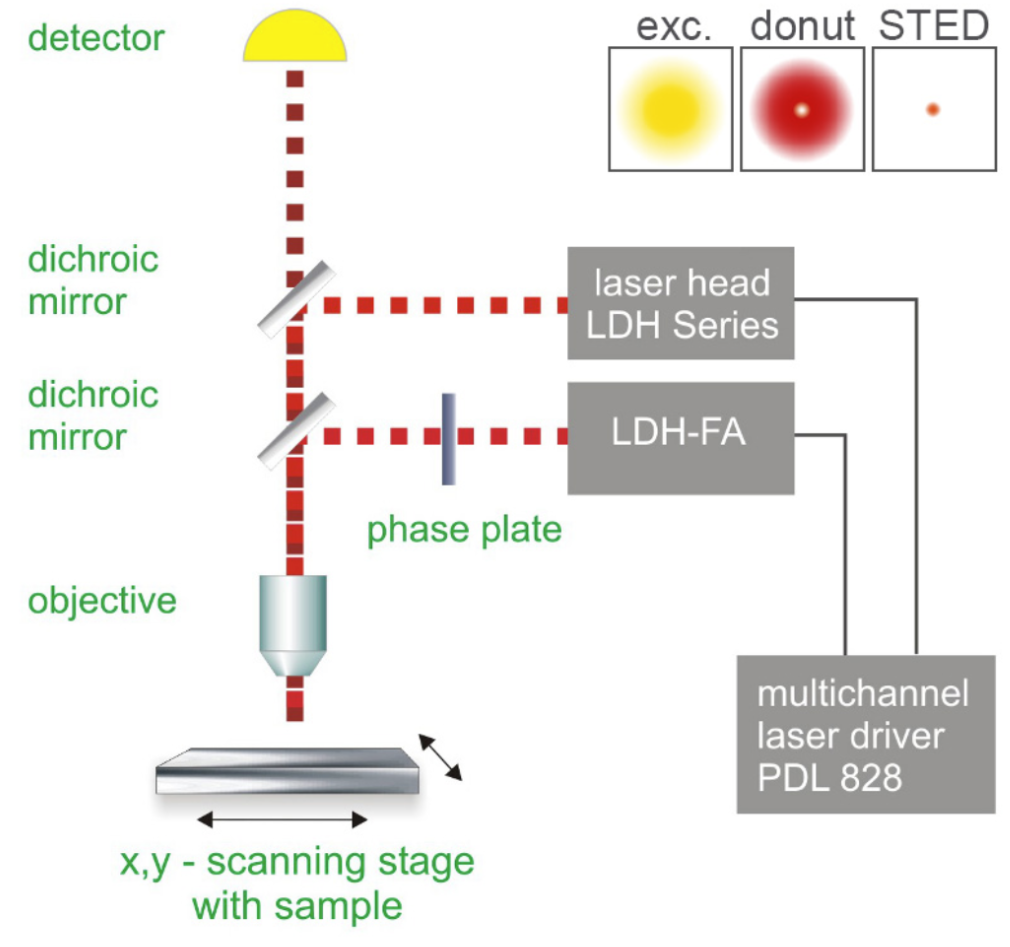 How STED microscopy works