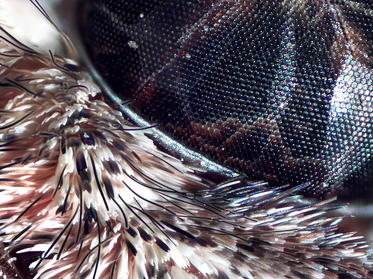 Moth Eye structure