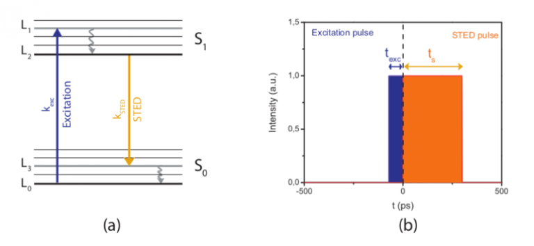 STED Microscopy: Turning Molecules Off And On