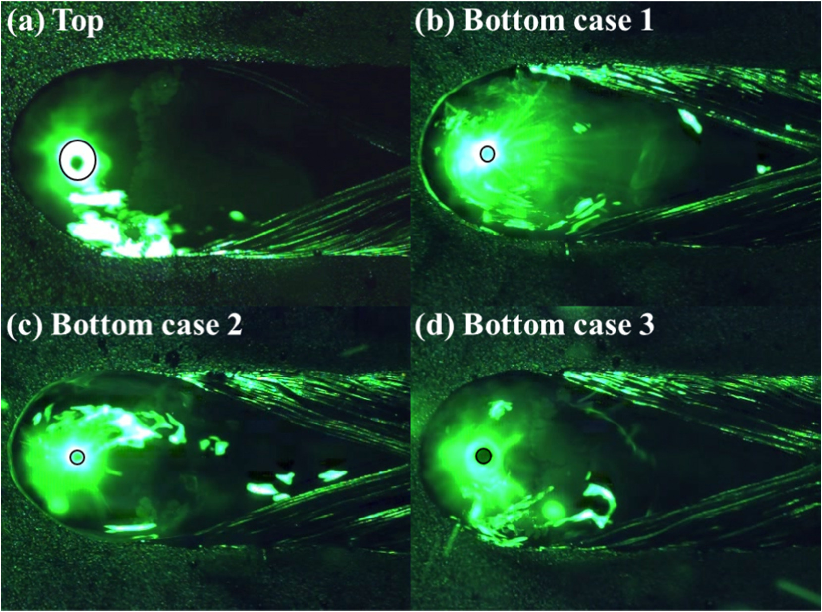 Laser Keyhole Welding with Deep Learning