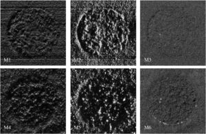 Flaw Detection in Laser Powder Bed Fusion