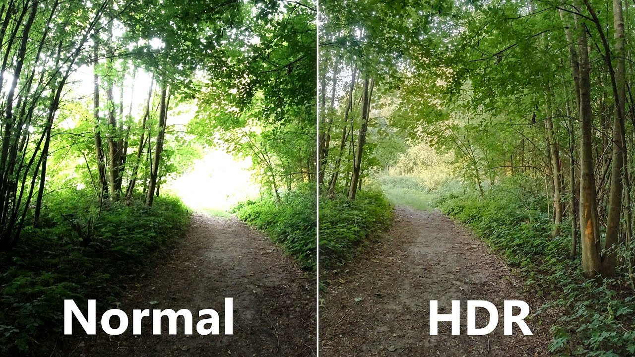 A comparison of a normal (left) and HDR (right) image. Both images are of the same forest path with trees on wither side of a dirt path that bends to the left. 