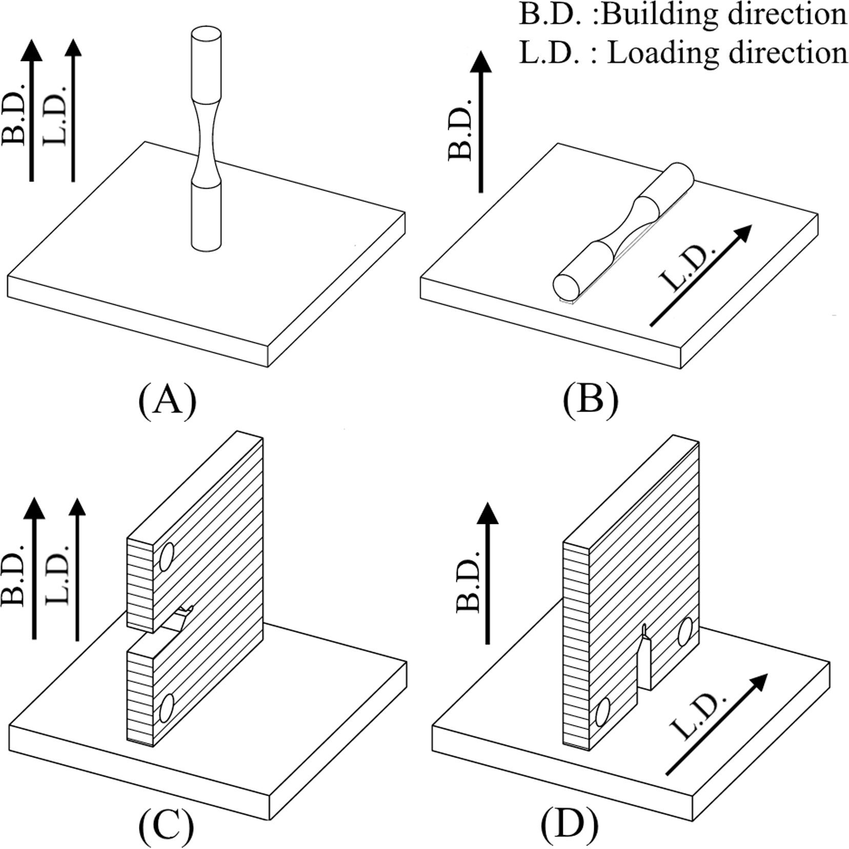 Selective Laser