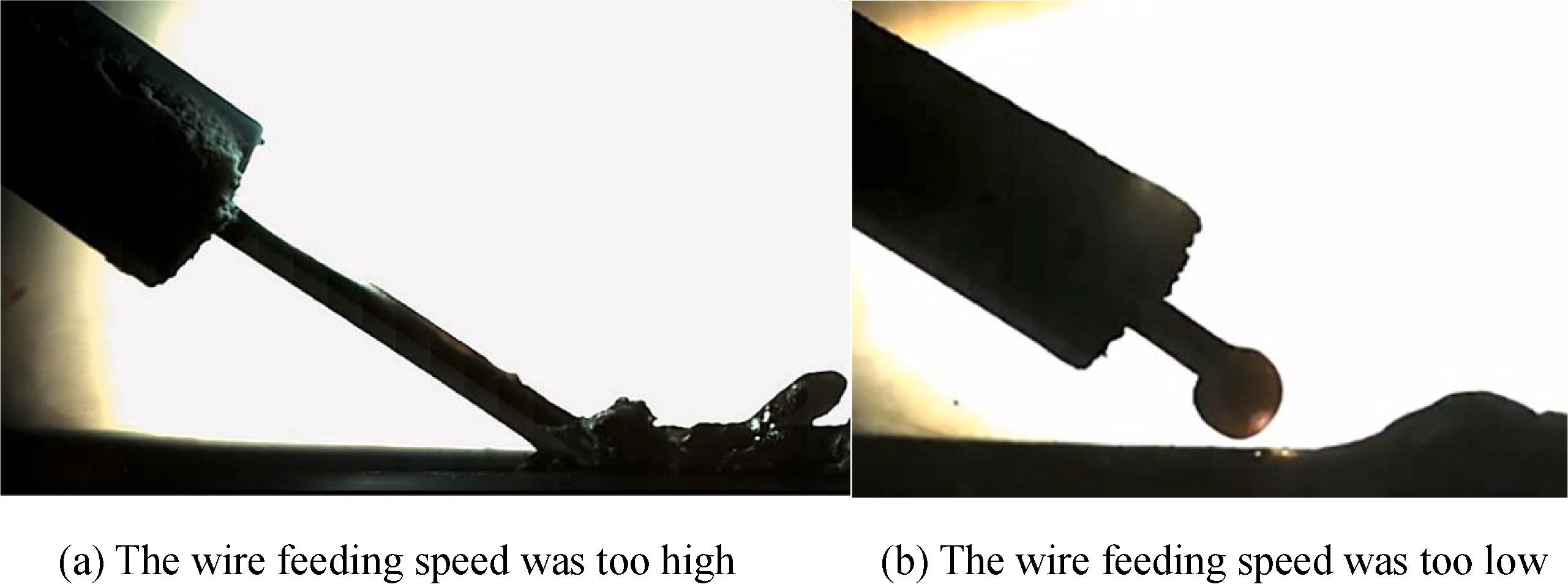 Laser Metal Additive Manufacturing