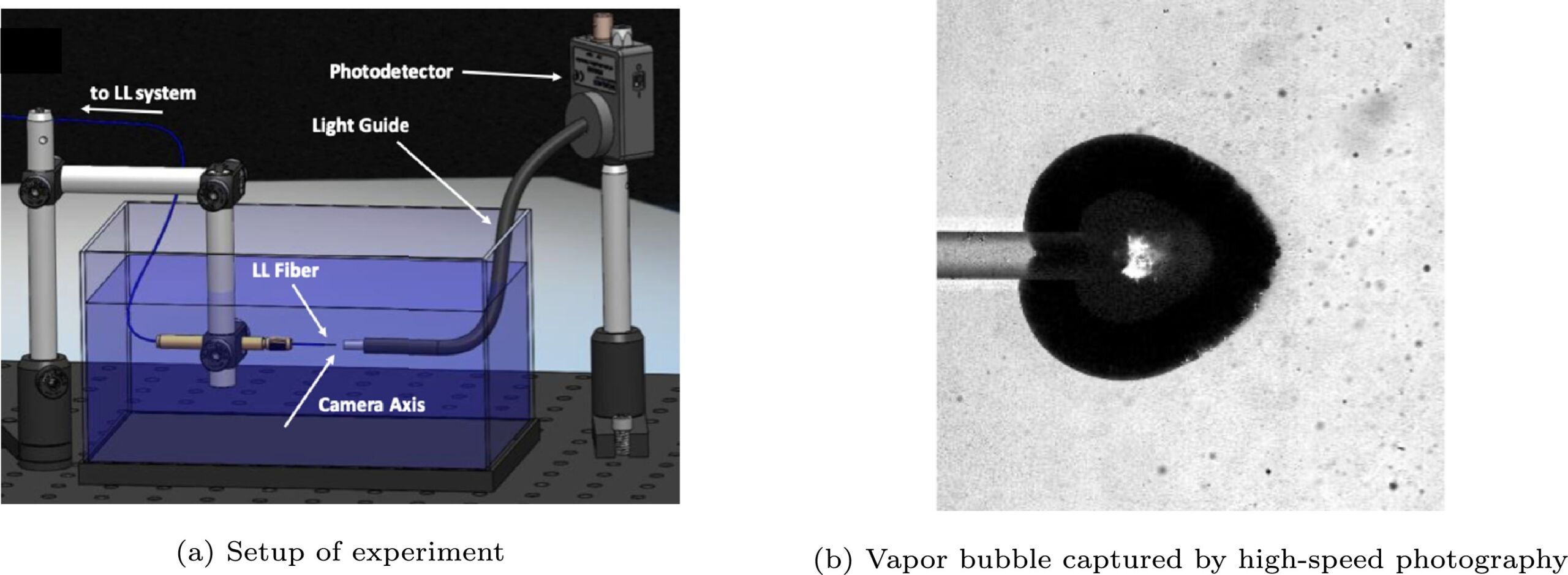 Laser-Induced Cavitation