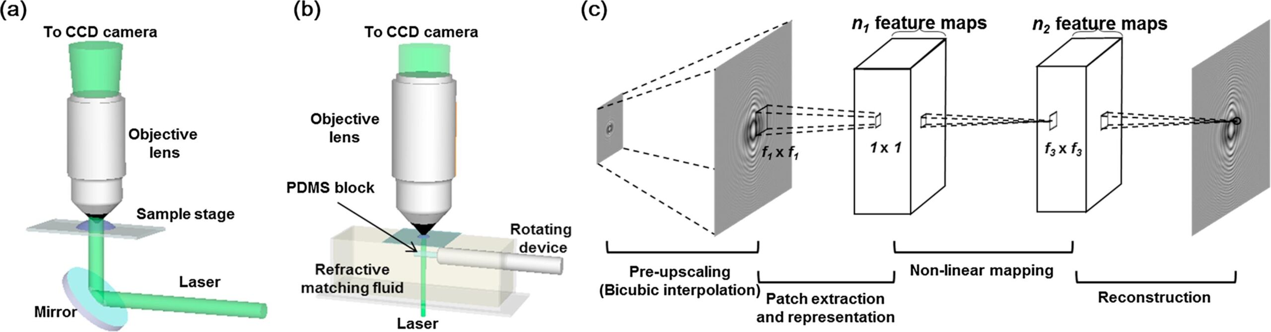 Digital Holographic Microscopy 