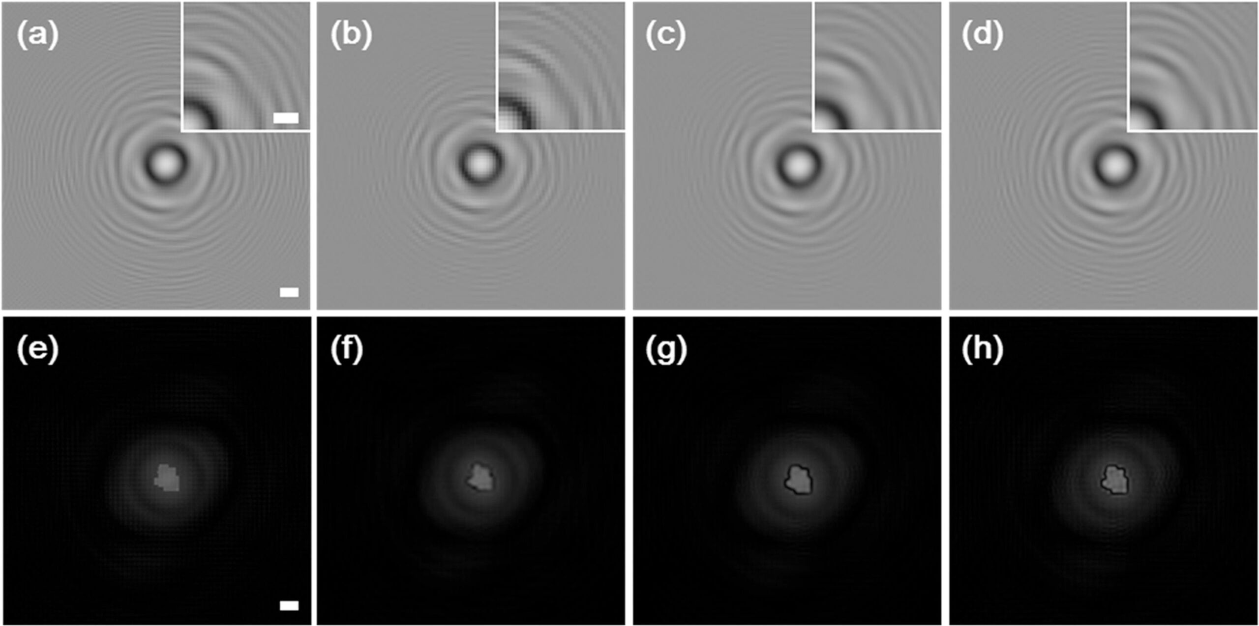 Digital Holographic Microscopy 