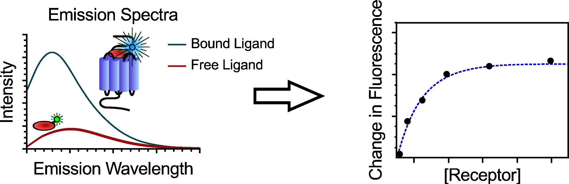 graph showing fluorescence spectroscopy