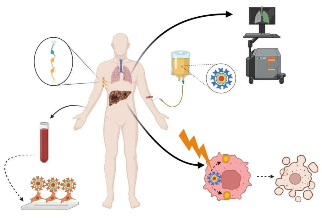 Applications of Quantum Dots in Nanomedicine