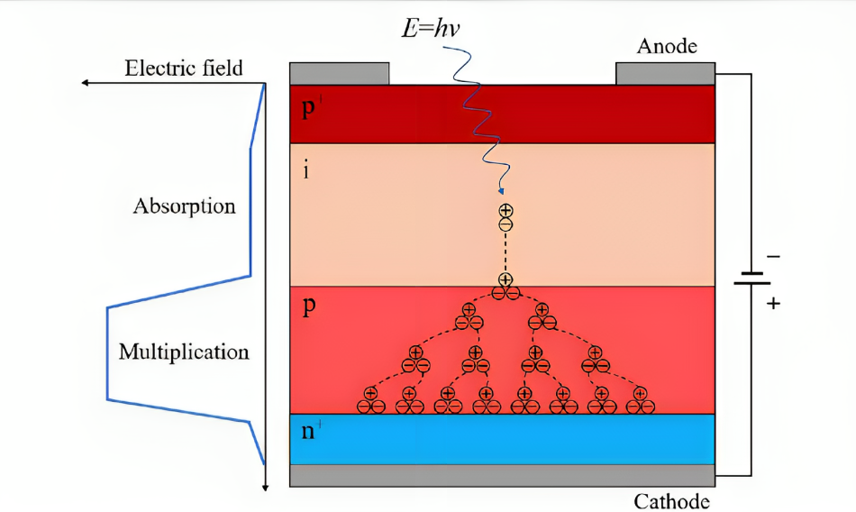 Diagram showing the internal structure of an Avalanche Photodiode with photon absorption, electron-hole pair generation, and avalanche multiplication process.