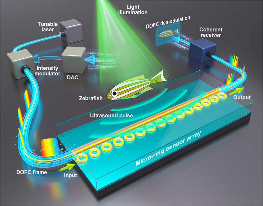 Photoacoustic tomography