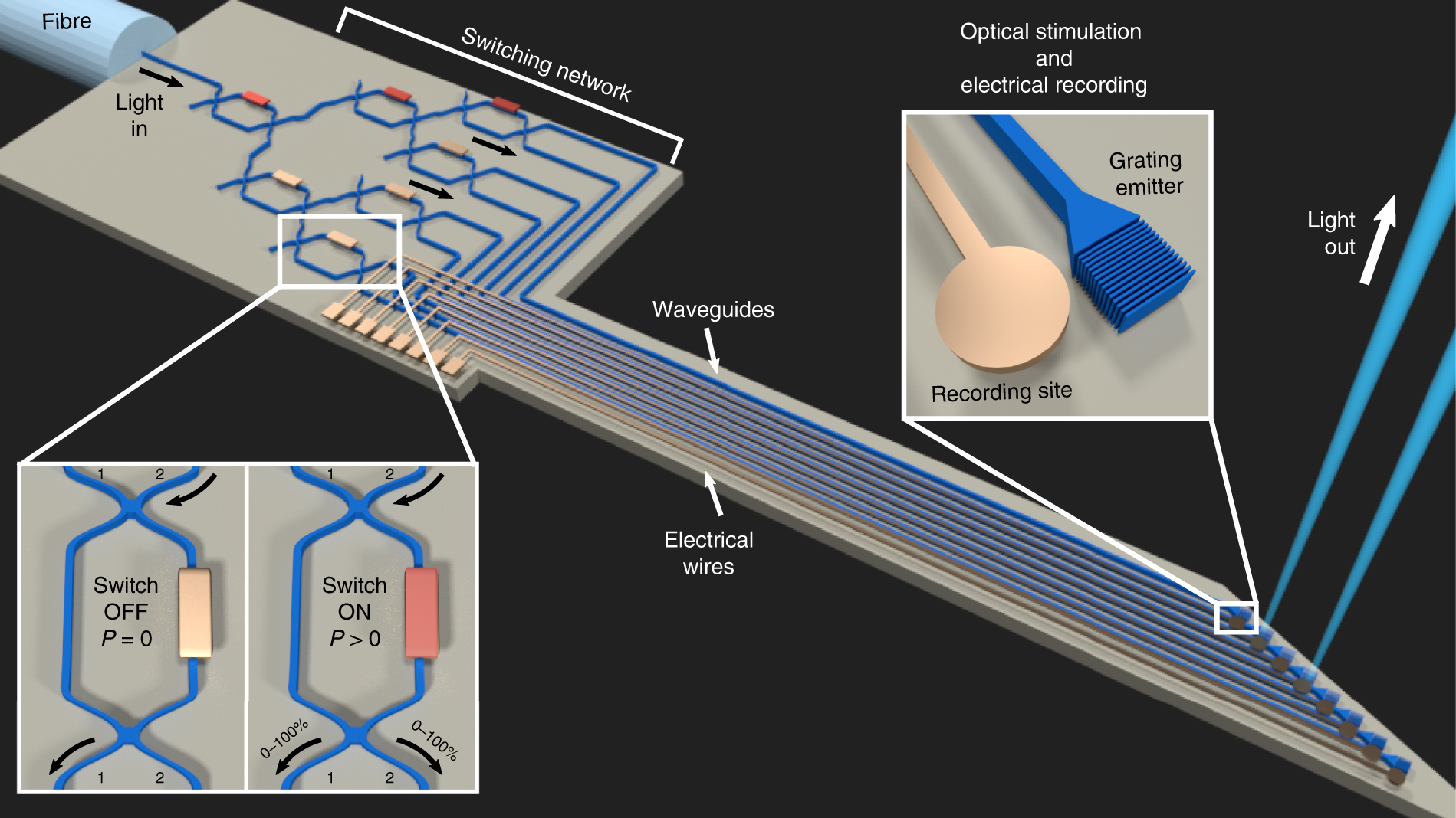 implant probes for biophotonics for brain imaging