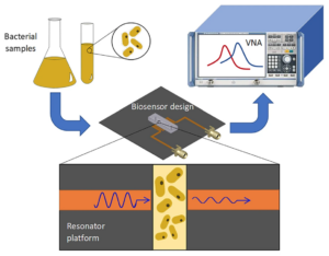 Optical Biosensors for Rapid Virus and Bacteria Detection