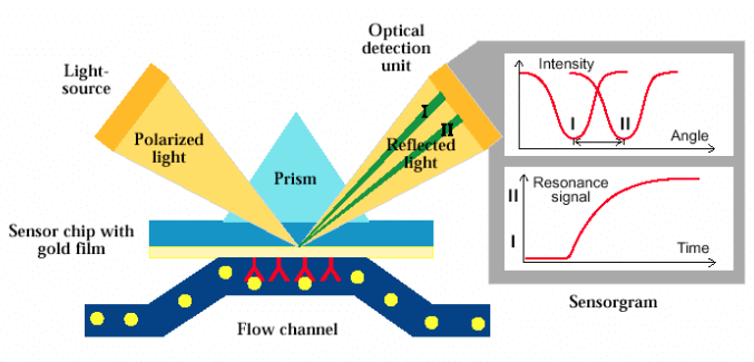 SPR-based biosensors