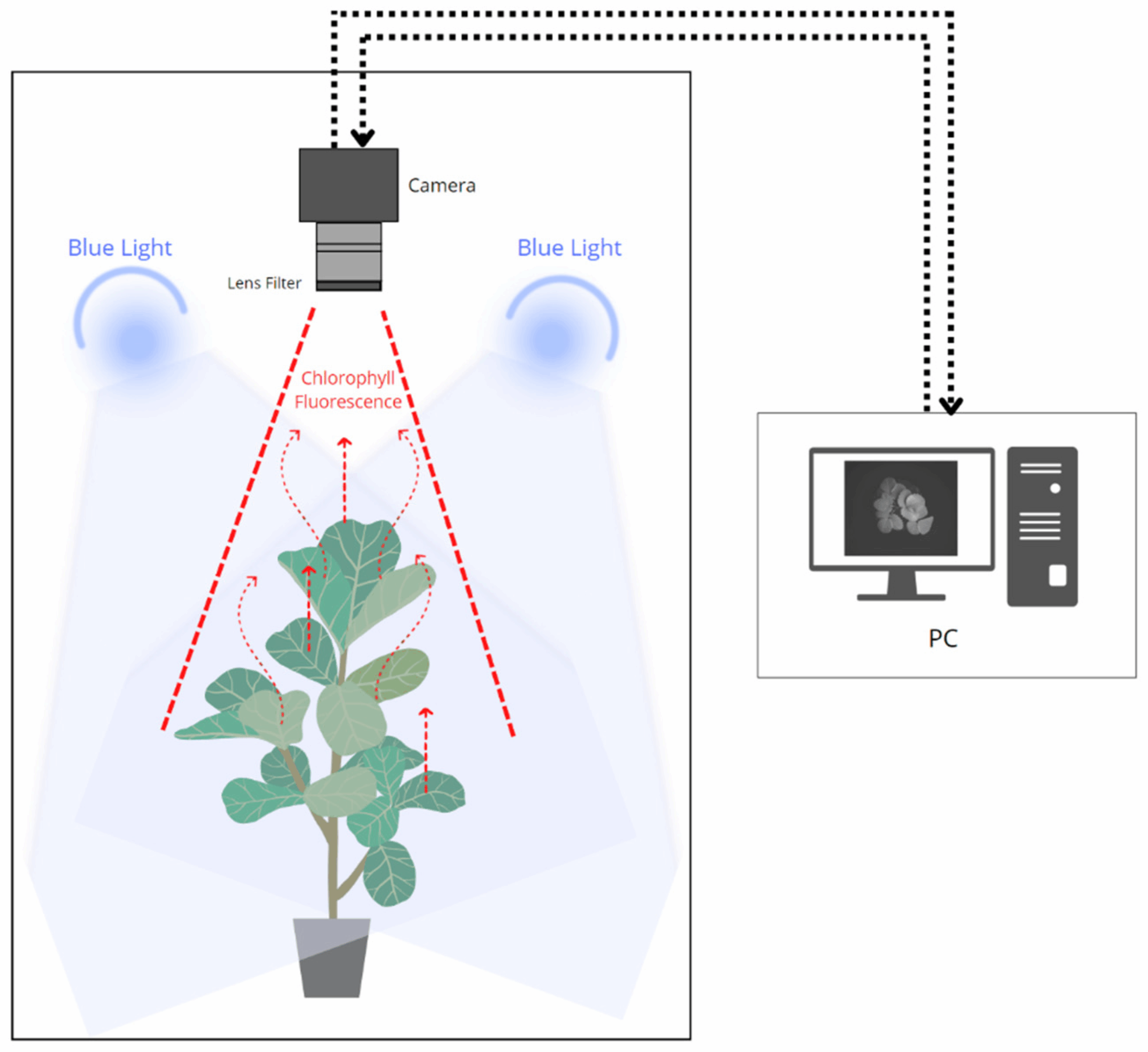 Fluorescence for plant health monitoring