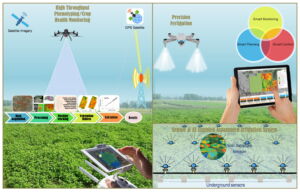 Photonics for Plant Health Monitoring