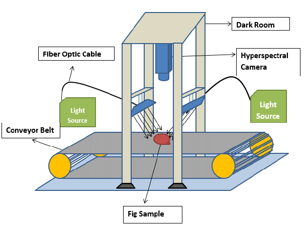 Hyperspectral imaging system with a conveyor belt