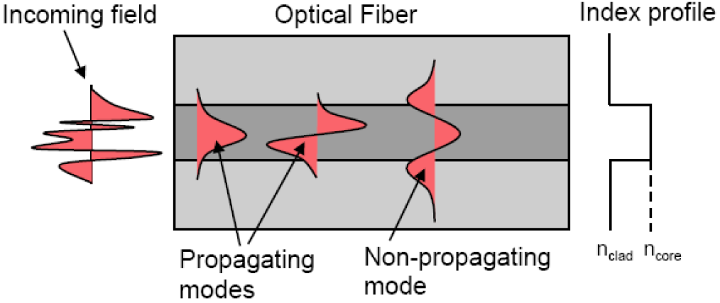 Types of optical fibers