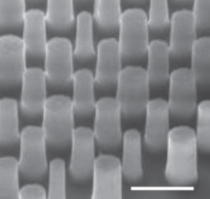 Propagation phase design