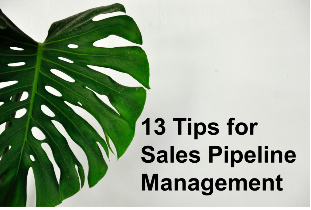 Large plant leaf with overlay text '13 Tips for Sales Pipeline Management