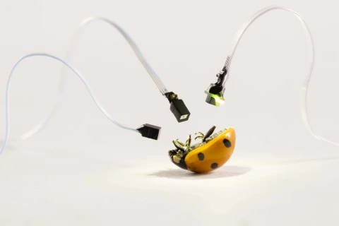 OS500 FOV90 Digital Micro Camera for Medical Endoscopy Applications