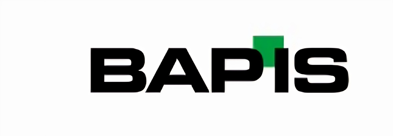 BAP Image Systems GmbH