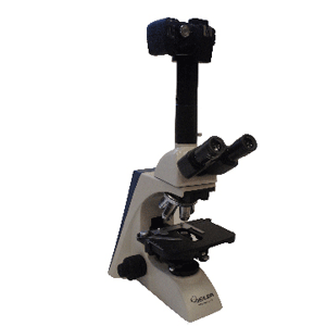 Digital Camera-Microlux IV Compound Microscope