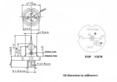 1300 nm FP LASER