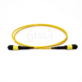 GLSUN OS2 OM1 OM2 OM3 OM4 Simplex-Duplex Fiber Patch Cords MTP/MPO Cables with Various Connectors photo 4