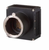 High Speed Industrial Camera IC-X25B-CL