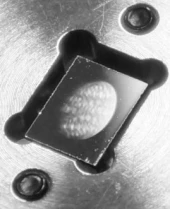 Typical Deformable Mirror