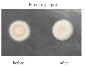 High Precision Cell Mirror for Nd:YAG Q-Switch Laser photo 3