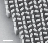 Metalens VCSEL 850nm 65mW AMG5300003-A-S2 photo 3