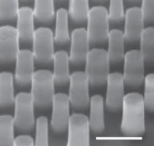 Metalens VCSEL 850nm 65mW AMG5300003-A-S2 photo 4