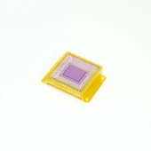 NSC1601 SWIR InGaAs Sensor