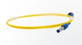 Polarization-Maintaining Fiber Collimator