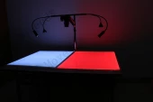 Professional Shadow-Free Forensic Photography Workstation OR-GTY100 photo 2