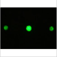 Beam Sampling With Diffractive Optics From Holo/Or photo 1