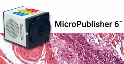 MicroPublisher 6 Color Camera photo 2