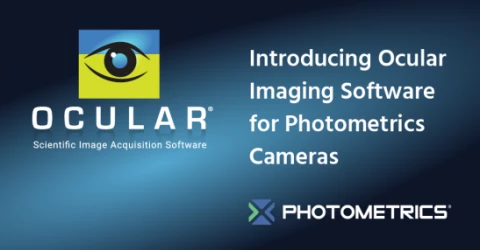 Ocular Image Acquisition Software photo 1