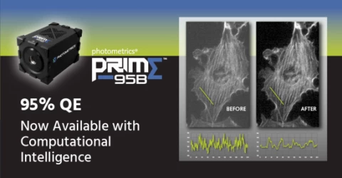 Prime 95B Scientific CMOS Camera photo 1