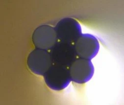 Long Lead Screw Fiber Taper XQ7170 for Optical Combiners photo 2