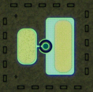 Avalanche Photodiodes (APD)