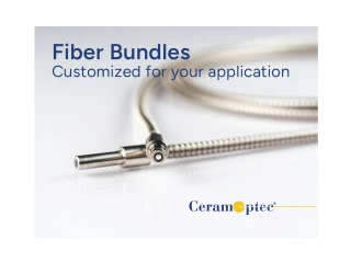 Fiber Bundles