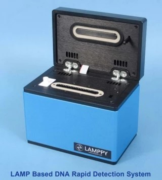LAMPPY Universal Optical DNA Rapid Detection System for Pathogens